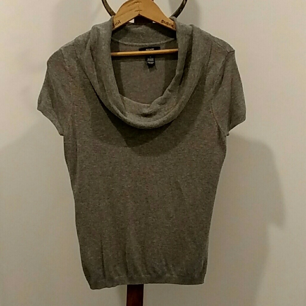 Gray cowl neck short sleeved sweater